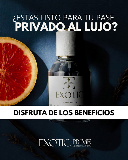 EXOTIC PRIME - MEMBERSHIP & CLUB VIP. ⭐⭐⭐⭐⭐