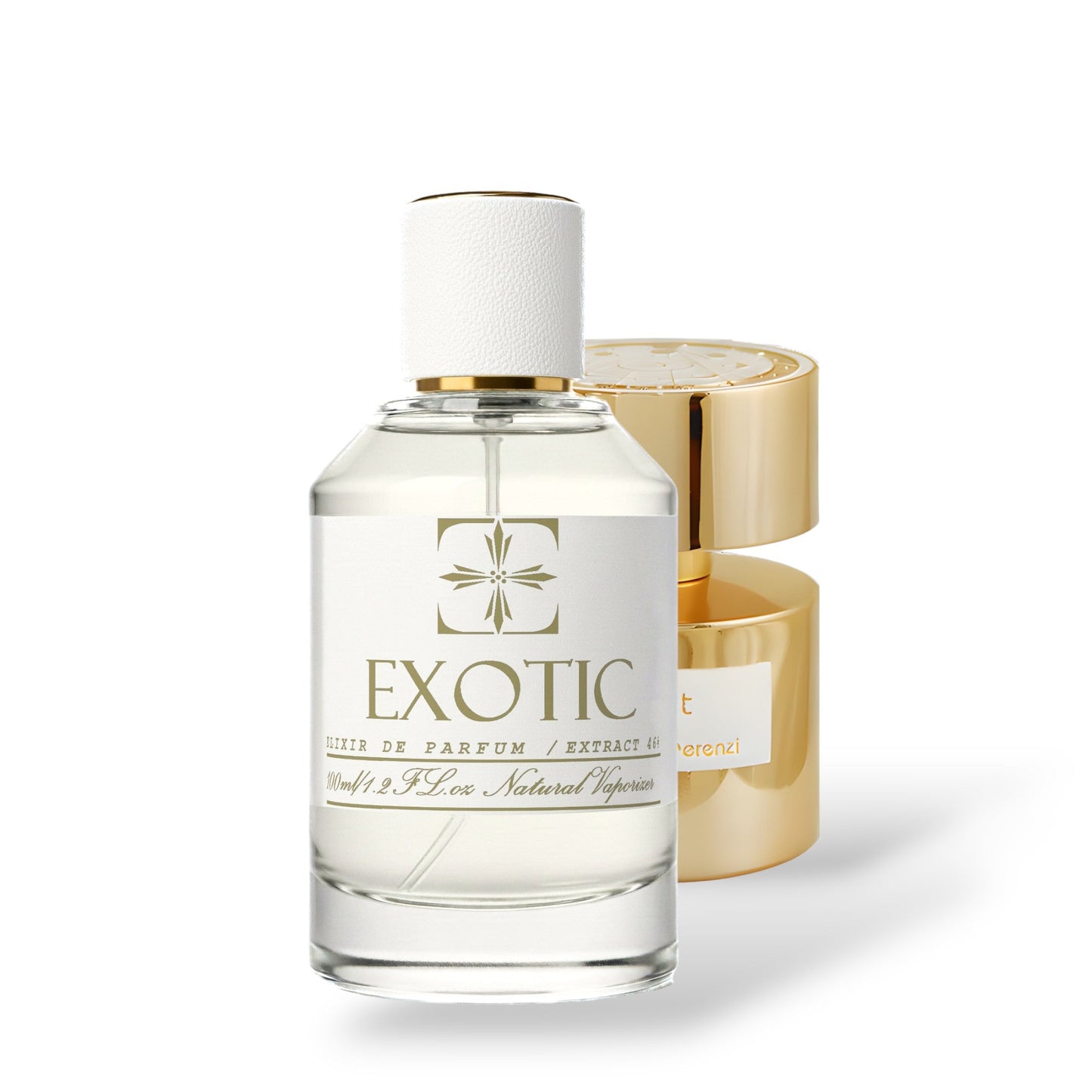 FRUITLAND, inspired by tabit TIZIANA TERENZI