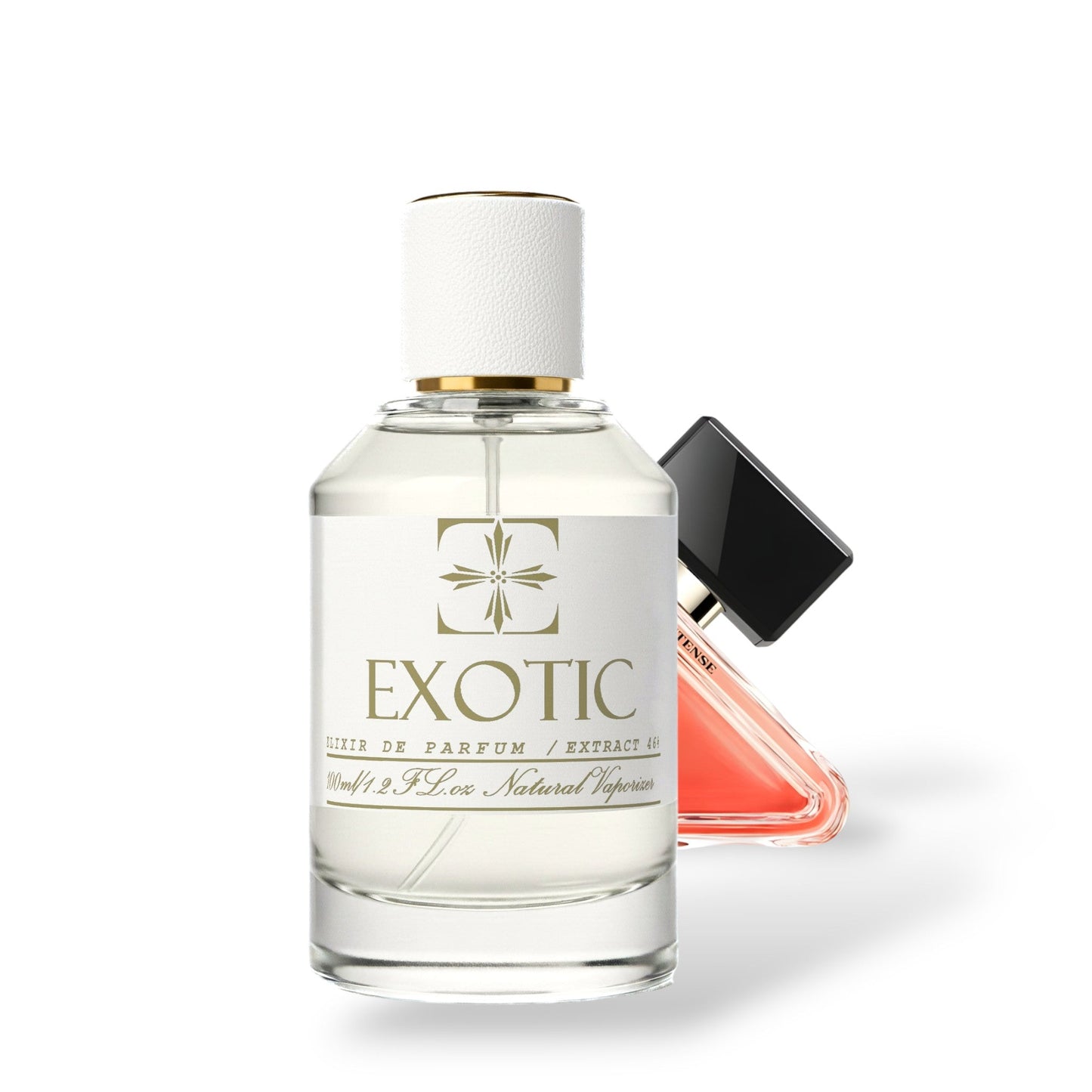INTENSE BLOOM, DUPE de Paradoxe Intense PRADA