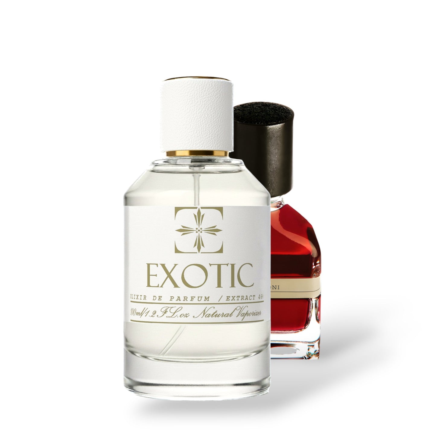 MAGMA ELIXIR, inspired by terroni MAGMA ELIXIR