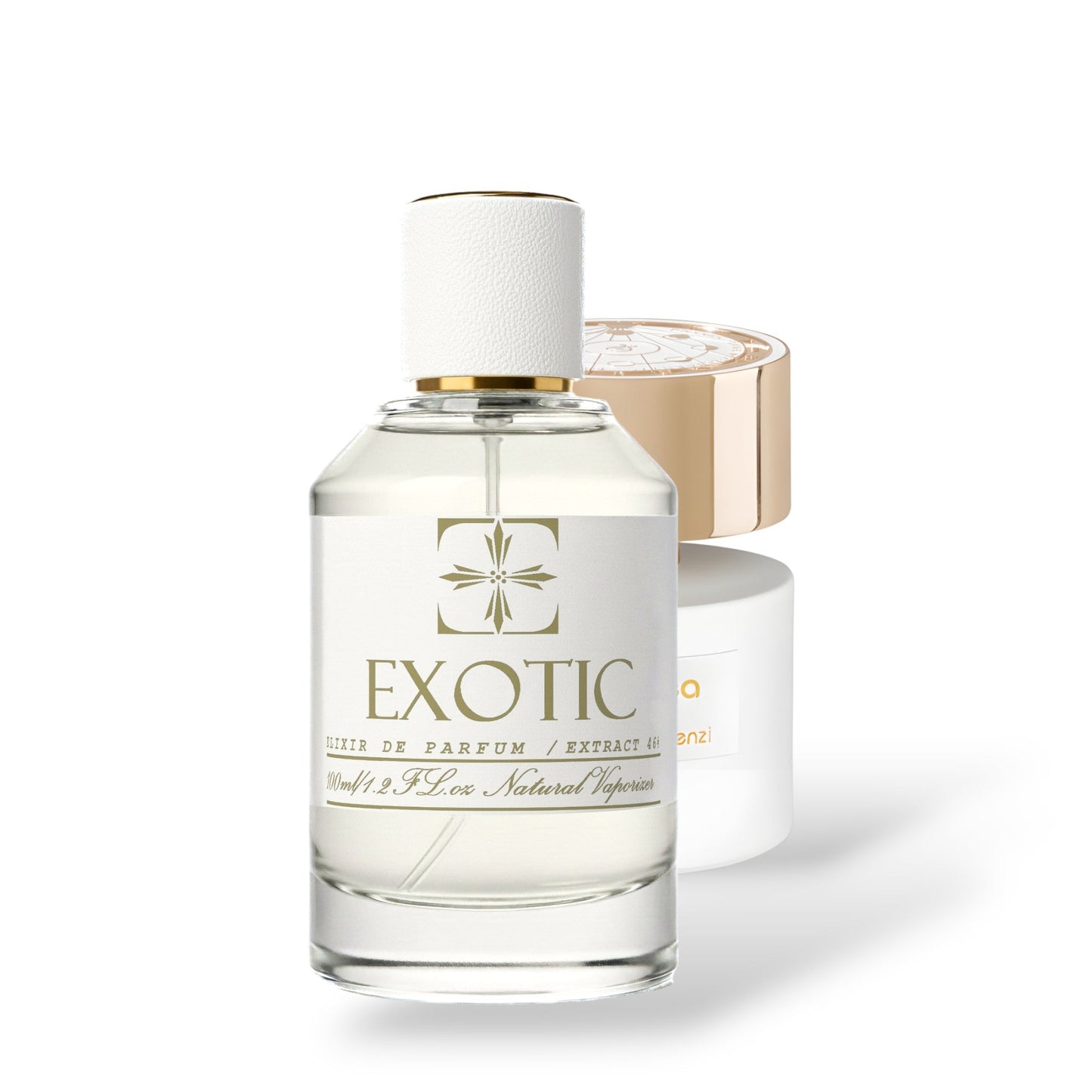 MOONLIT GARDEN, inspired by cassiopea TIZIANA TERENZI