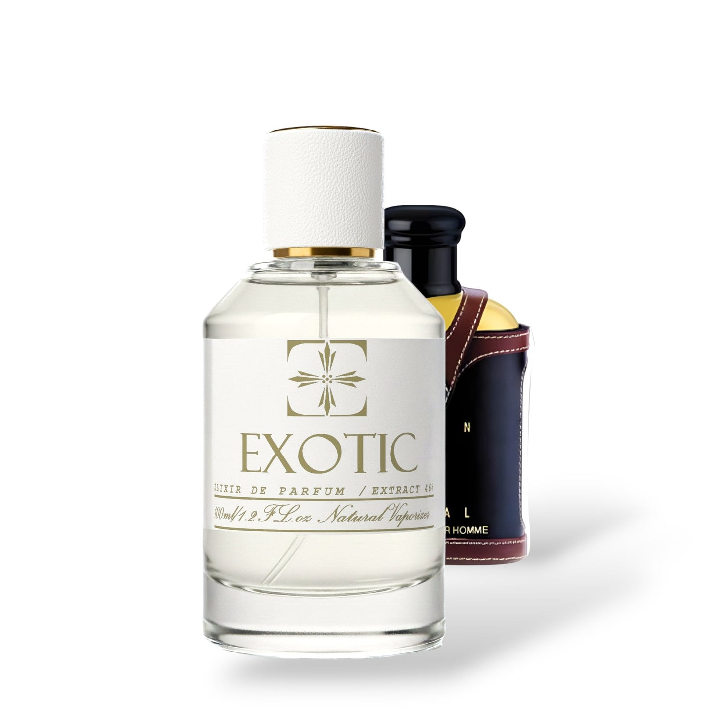 MOSSY SPICY, DUPE de JEAN PASCAL