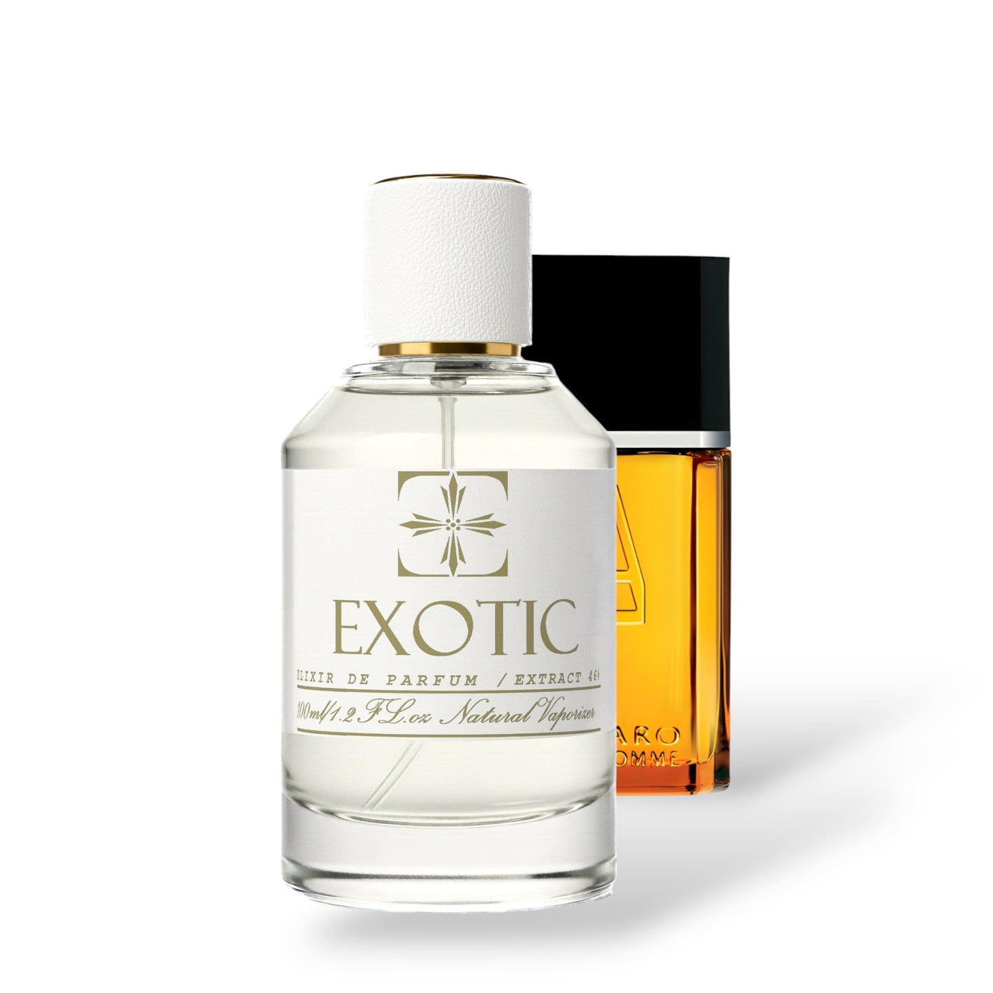 MOSS VETIVER, inspired by azzaro pour homme AZZARO