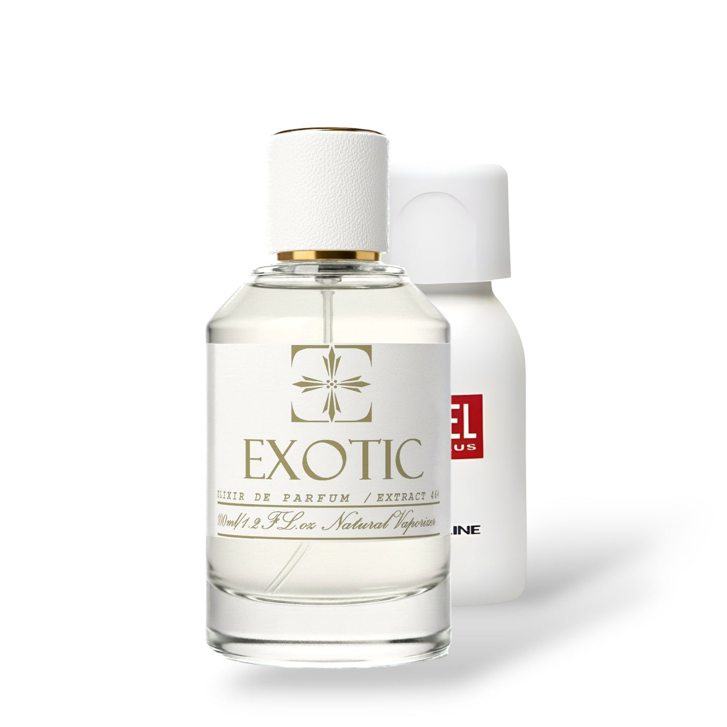 PALM BEACH, DUPE de plus plus DIESEL