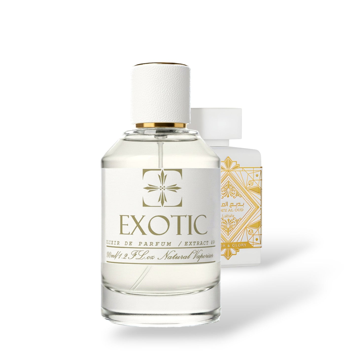 VITTORIA, DUPE de Honor y Gloria LATTAFA