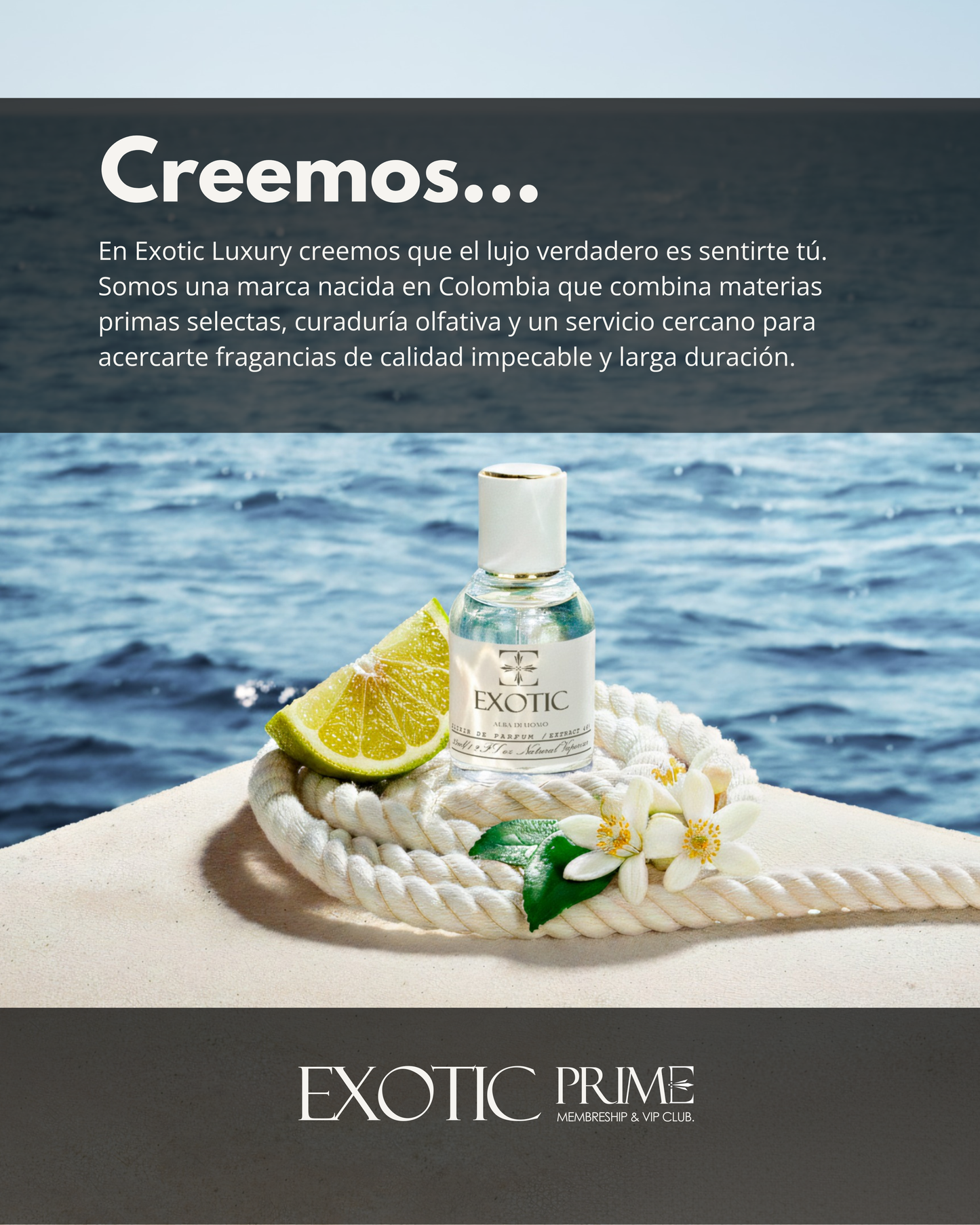 EXOTIC PRIME - MEMBERSHIP & CLUB VIP. ⭐⭐⭐⭐⭐