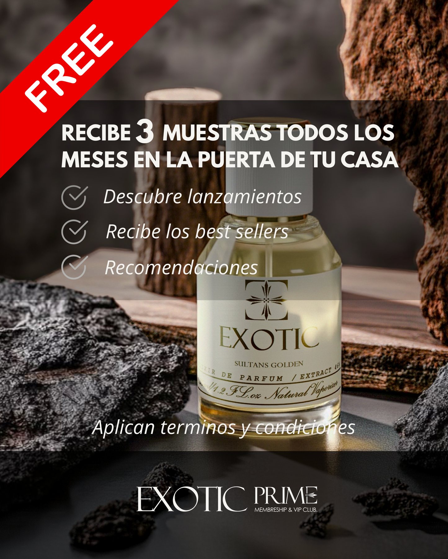 EXOTIC PRIME - MEMBERSHIP & CLUB VIP. ⭐⭐⭐⭐⭐