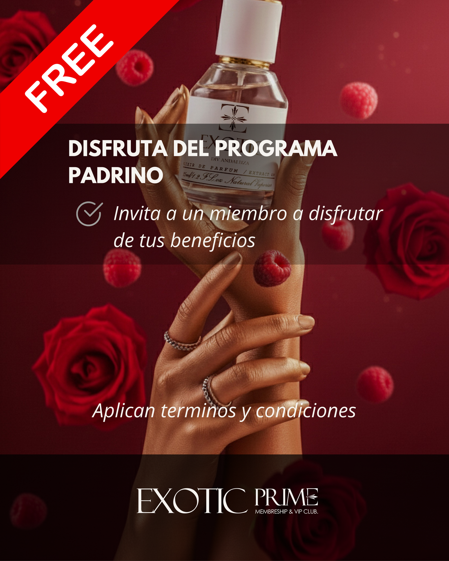 EXOTIC PRIME - MEMBERSHIP & CLUB VIP. ⭐⭐⭐⭐⭐