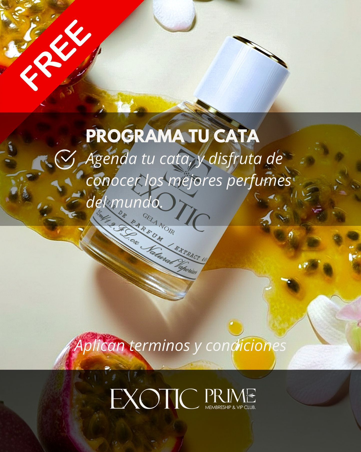 EXOTIC PRIME - MEMBERSHIP & CLUB VIP. ⭐⭐⭐⭐⭐