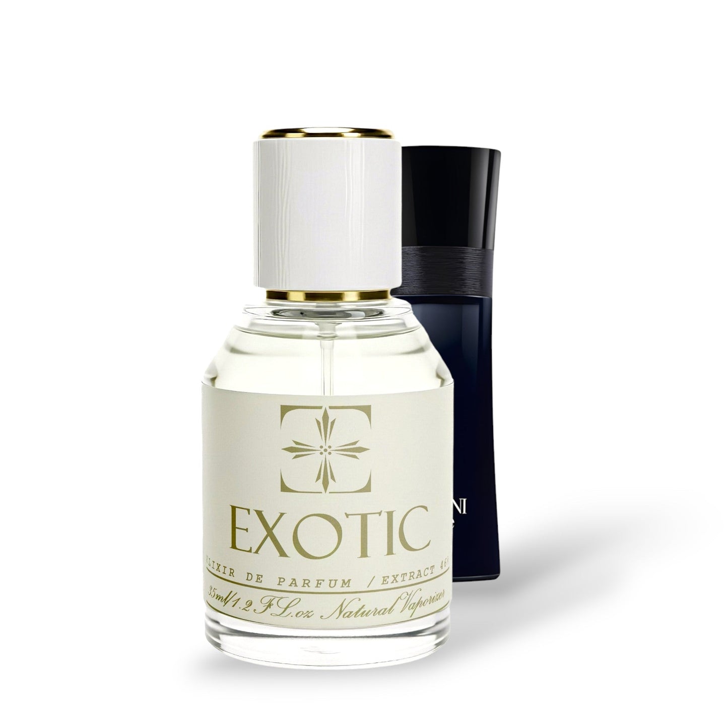 GAIA TONKA, DUPE de code black ARMANI