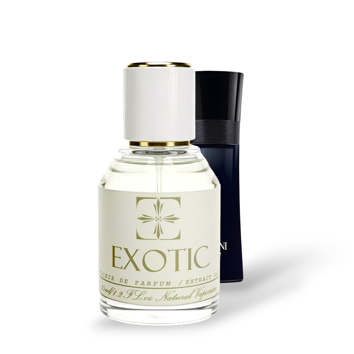 GAIA TONKA, DUPE de code black ARMANI