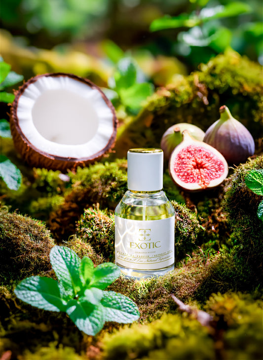GIORDINO WOOD, inspired by Le Beau Paradise Garden Jean Paul Gualtier ⭐⭐⭐⭐⭐