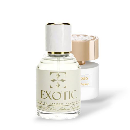 MOONLIT GARDEN, inspired by cassiopea TIZIANA TERENZI