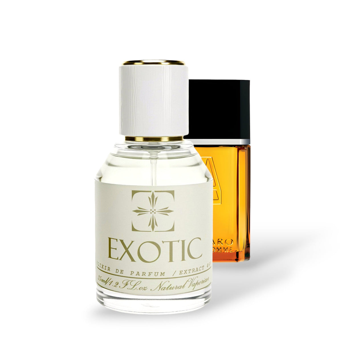 MOSS VETIVER, DUPE de azzaro pour homme AZZARO