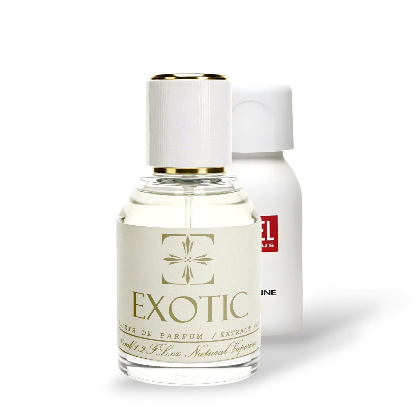 PALM BEACH, DUPE de plus plus DIESEL