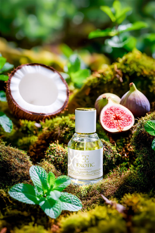 GIORDINO WOOD, DUPE de Le Beau Paradise Garden Jean Paul Gualtier ⭐⭐⭐⭐⭐