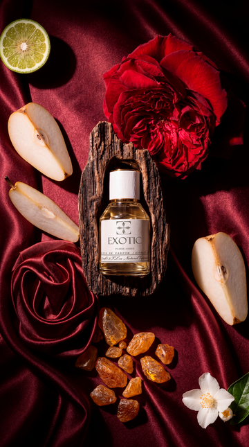 PLAISIR AMBER , DUPE de Il Erotique ILMIN