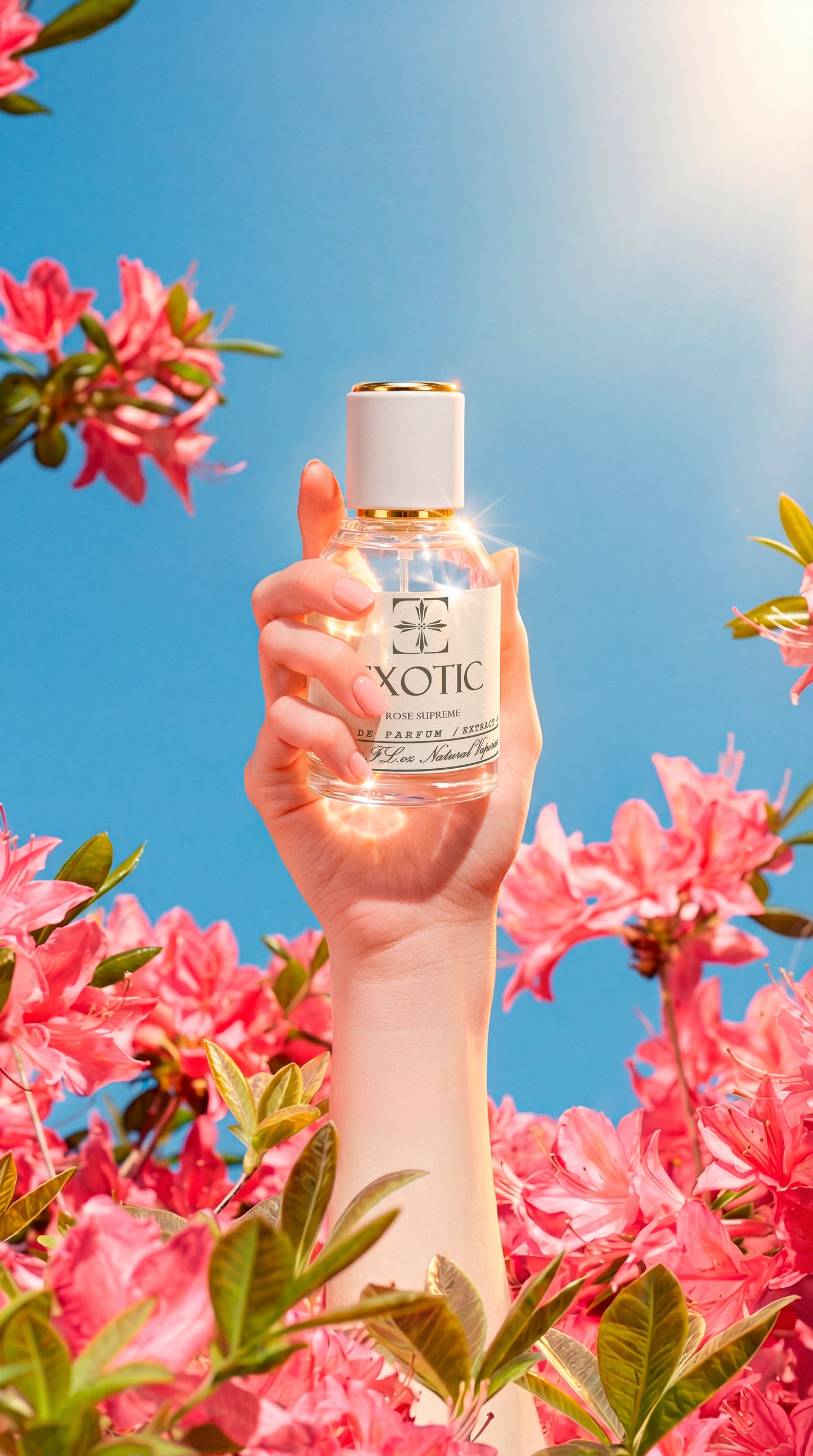 ROSE SUPREME, DUPE de Miss Dior