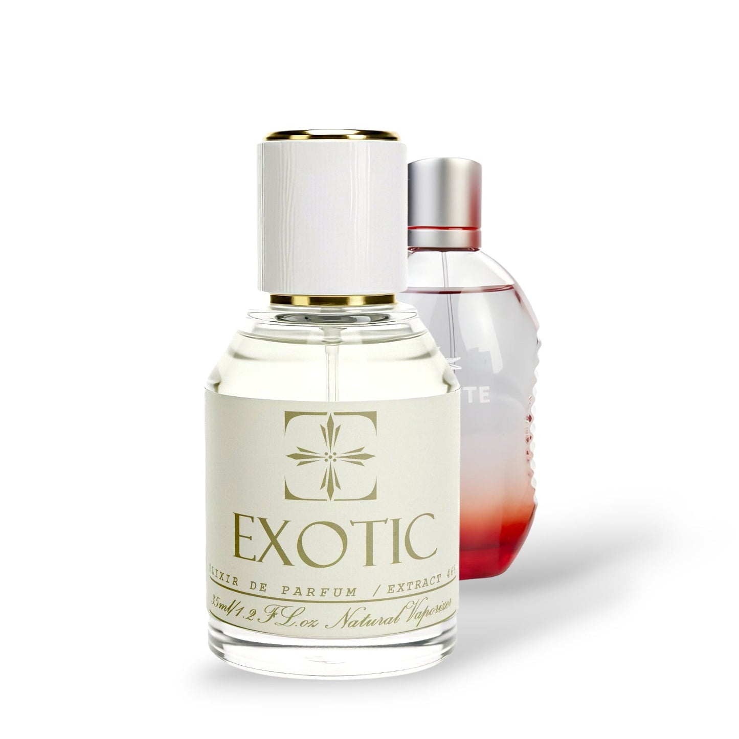 SPORT MOTION, inspired by Stay in play red Lacoste