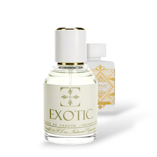 VITTORIA, inspired by Honor y Gloria LATTAFA