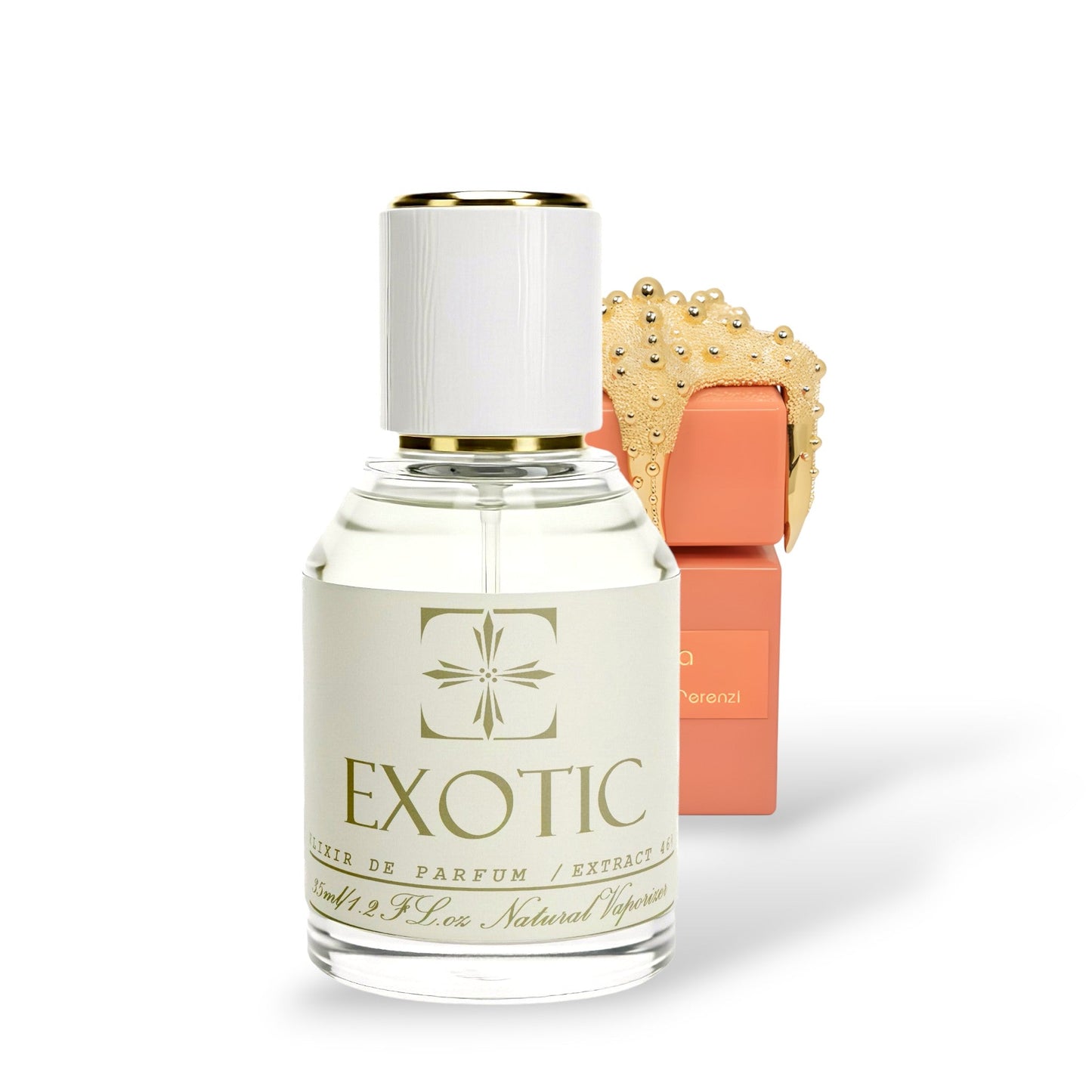 WILD BERRIES, inspired by orza TIZIANA TERENZI