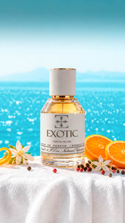 NEROLI SILVER , DUPE de Meteore Louis Vuitton